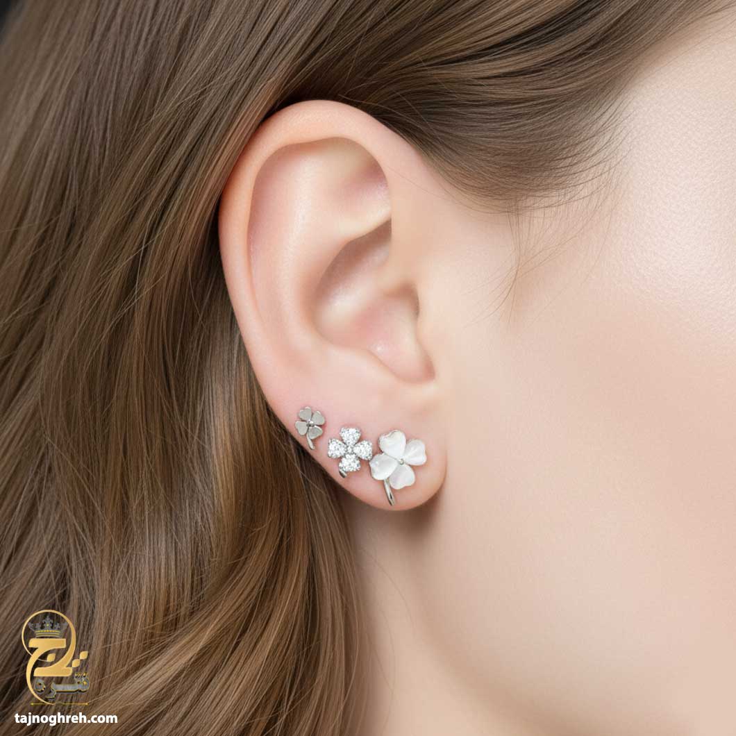 silver-earrin-esw-e60-02 گوشواره نقره میخی مدل ESW E60