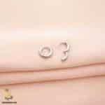 گوشواره نقره حلقه ای کوچک ساده مدل ESW E77 IMAGE2