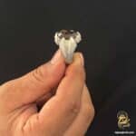 انگشتر نقره مردانه کوارتز دودی مدل RSM K153 IMAGE3