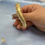 دستبند نقره زنانه طرح طلا مدل DSW D99 داخل دست