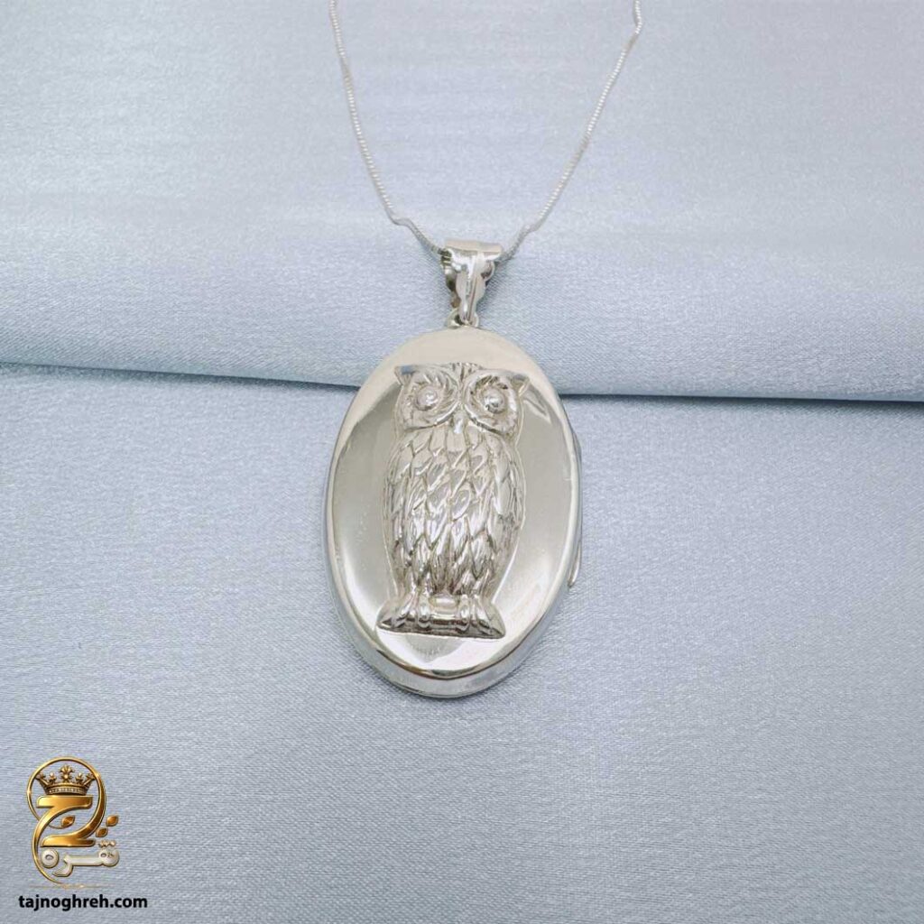 گردنبند نقره زنانه قاب عکس طرح جغد مدل ZSW Z127